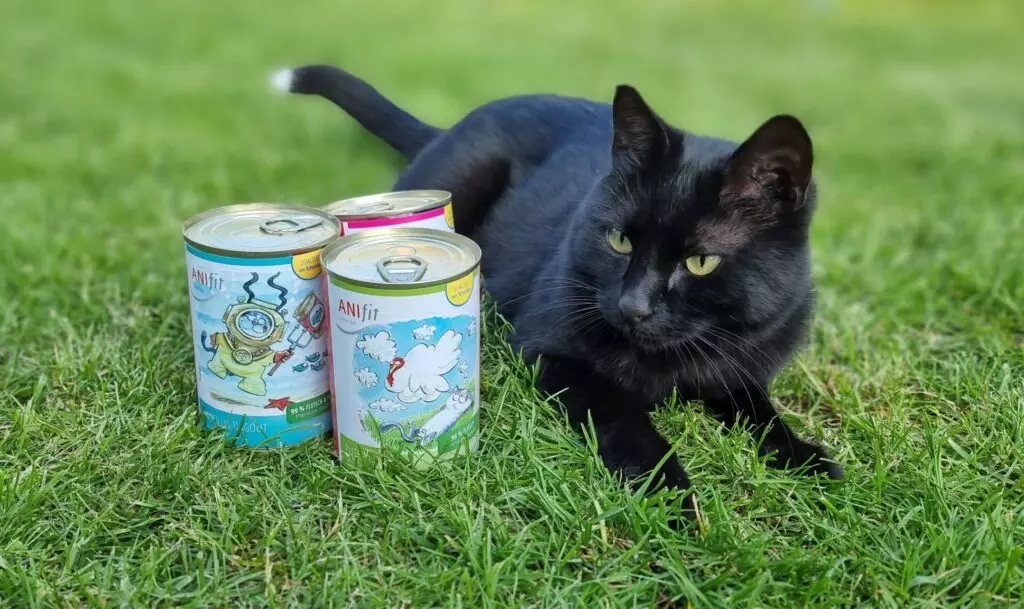 Schwarzer Kater liegt auf dem Rasen neben drei Dosen ANIfit Katzenfutter